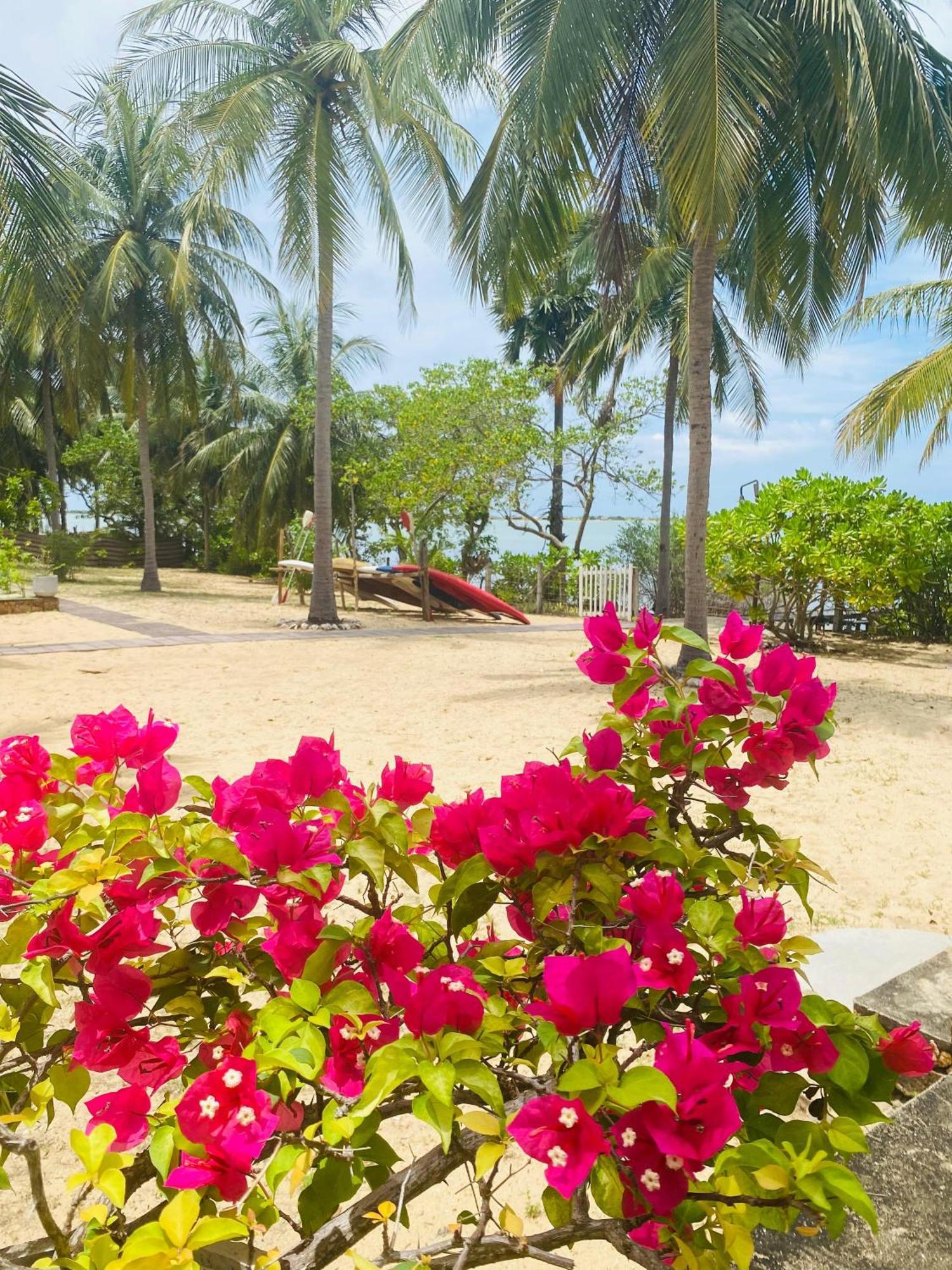 Villa Sethawadi Hotel And Kitesurf Centre 칼피티야 외부 사진